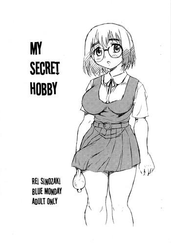 my secret hobby cover