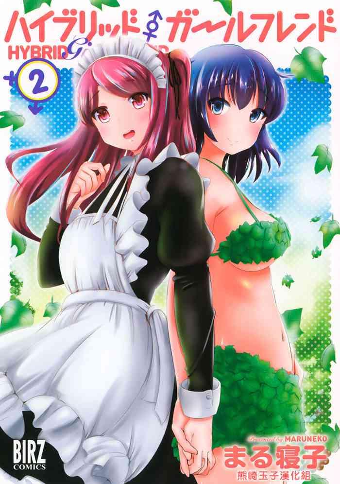 hybrid girlfriend vol 2 cover