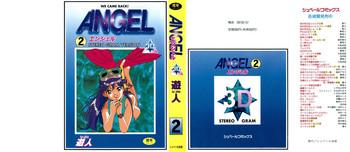 angel 2 cover