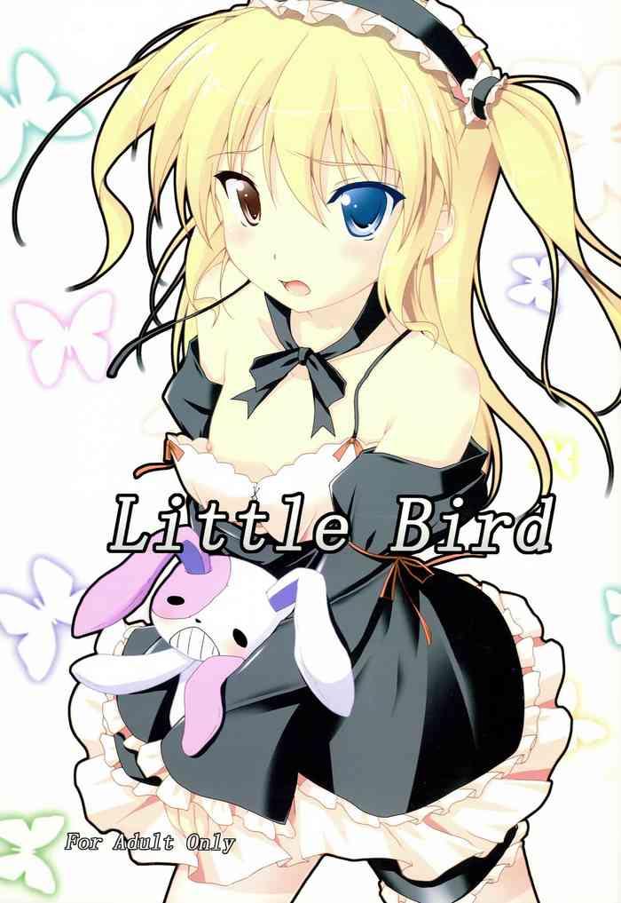 little bird cover