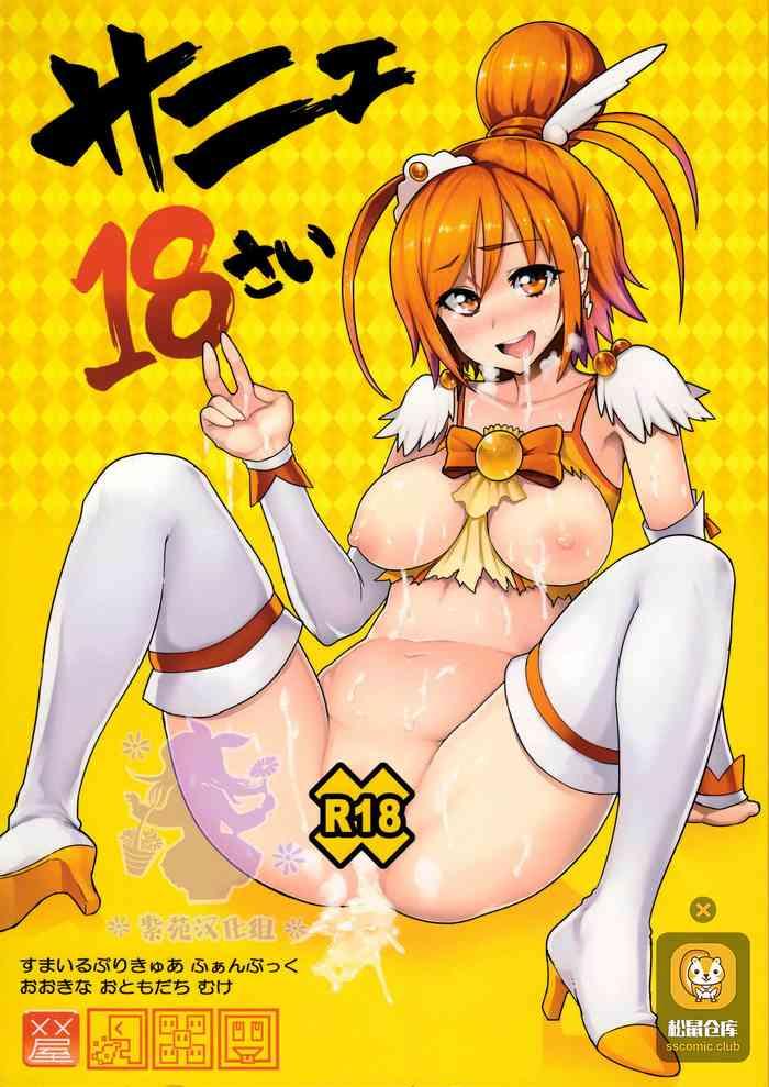 sunny 18 sai cover