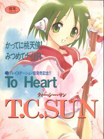 t c sun cover